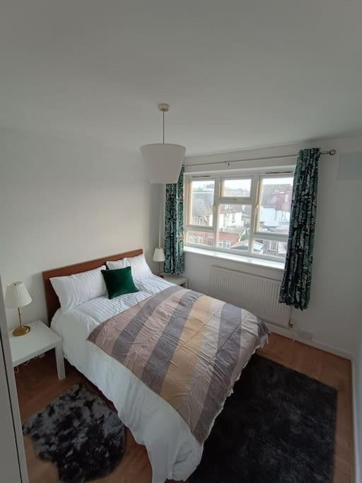 Spacious 3 Bed Flat Opp Springfield Park, Hackney. Londra