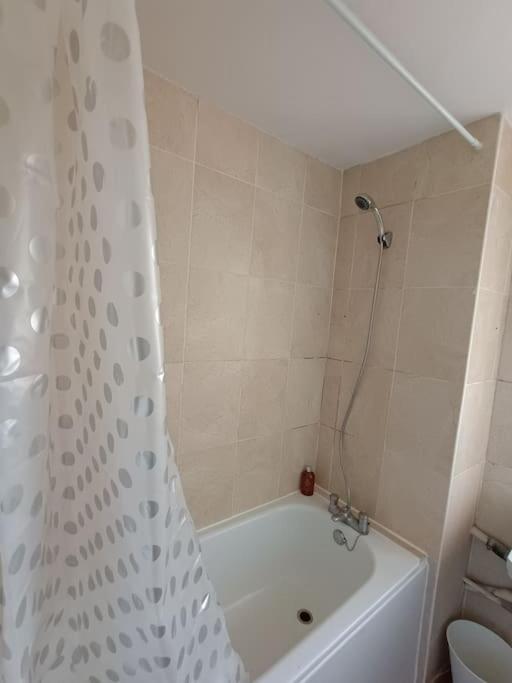 Apartament Spacious 3 Bed Flat Opp Springfield Park, Hackney.