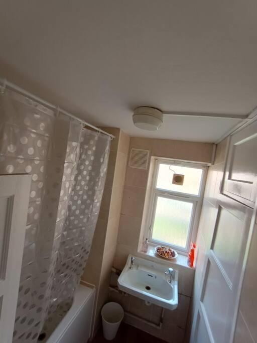 Spacious 3 Bed Flat Opp Springfield Park, Hackney. Apartament