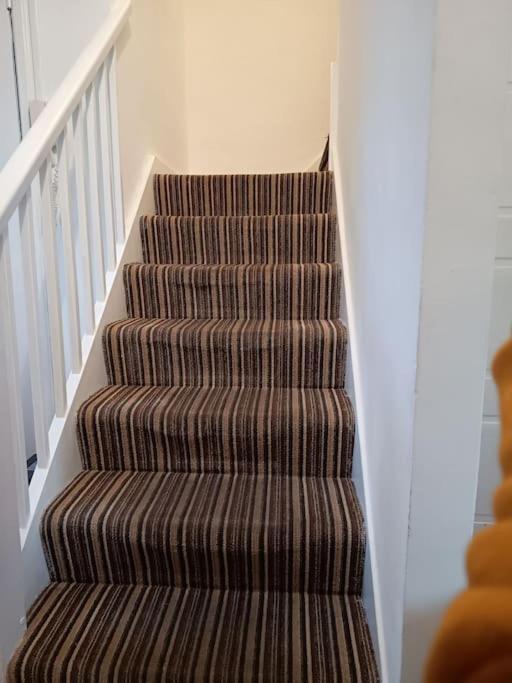 Spacious 3 Bed Flat Opp Springfield Park, Hackney. * Londra