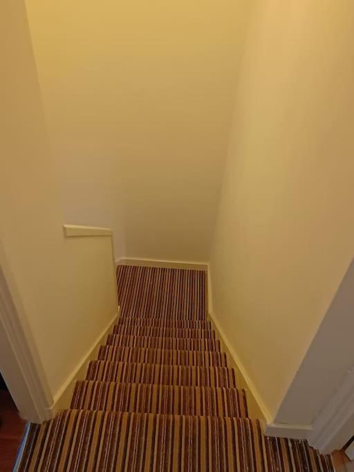Spacious 3 Bed Flat Opp Springfield Park, Hackney. Appartamento Londra