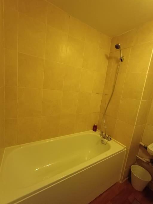 Apartament Spacious 3 Bed Flat Opp Springfield Park, Hackney. Londra