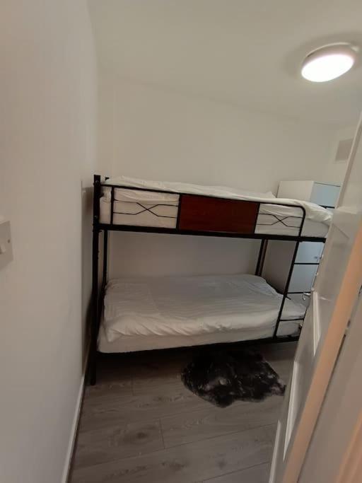 Apartament Spacious 3 Bed Flat Opp Springfield Park, Hackney. *