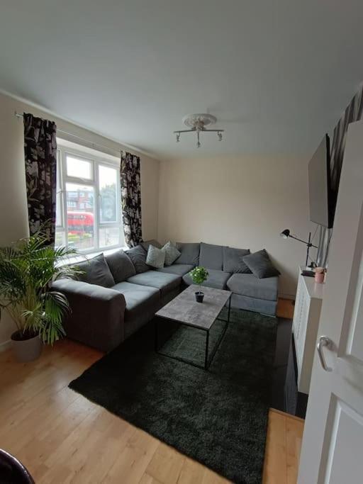Apartament Spacious 3 Bed Flat Opp Springfield Park, Hackney. *